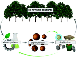 Graphical abstract: Spherical lignin particles: a review on their sustainability and applications