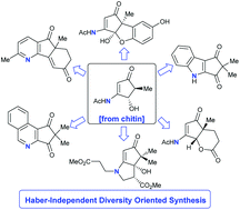 Graphical abstract: Haber-independent, diversity-oriented synthesis of nitrogen compounds from biorenewable chitin
