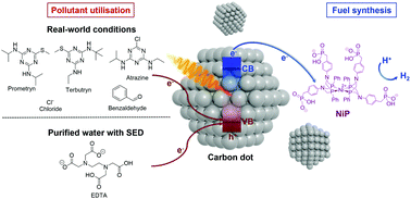 Graphical abstract: Photocatalytic hydrogen generation coupled to pollutant utilisation using carbon dots produced from biomass