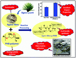 Graphical abstract: Sustainable composites from poly(3-hydroxybutyrate) (PHB) bioplastic and agave natural fibre