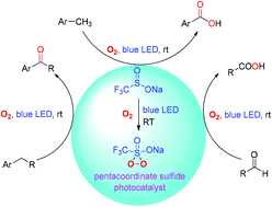 Graphical abstract: Light and oxygen-enabled sodium trifluoromethanesulfinate-mediated selective oxidation of C–H bonds