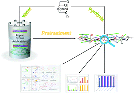 Graphical abstract: A biomass pretreatment using cellulose-derived solvent Cyrene