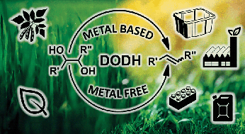 Graphical abstract: The deoxydehydration (DODH) reaction: a versatile technology for accessing olefins from bio-based polyols