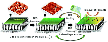 Graphical abstract: Introducing deep eutectic solvents as flux boosting and surface cleaning agents for thin film composite polyamide membranes