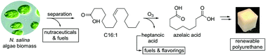 Graphical abstract: Flexible polyurethanes, renewable fuels, and flavorings from a microalgae oil waste stream