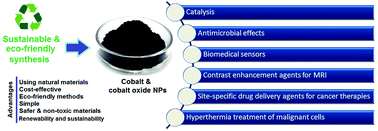 Graphical abstract: Sustainable synthesis of cobalt and cobalt oxide nanoparticles and their catalytic and biomedical applications