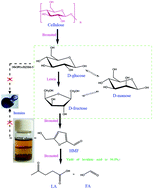 Graphical abstract: Efficient catalytic conversion of cellulose to levulinic acid in the biphasic system of molten salt hydrate and methyl isobutyl ketone