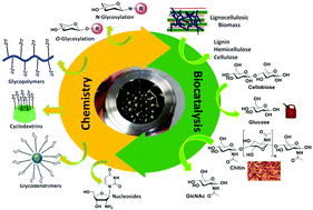 Graphical abstract: Current challenges and future perspectives in sustainable mechanochemical transformations of carbohydrates