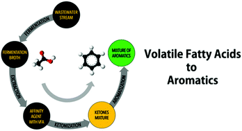 Graphical abstract: Tandem catalytic aromatization of volatile fatty acids