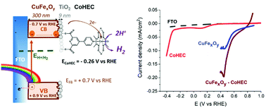 Graphical abstract: Achieving visible light-driven hydrogen evolution at positive bias with a hybrid copper–iron oxide|TiO2-cobaloxime photocathode