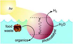 Graphical abstract: Photoreforming of food waste into value-added products over visible-light-absorbing catalysts