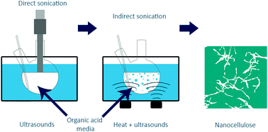 Graphical abstract: Sonochemical production of nanoscaled crystalline cellulose using organic acids