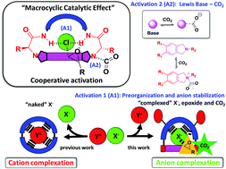 Graphical abstract: Pseudopeptidic macrocycles as cooperative minimalistic synzyme systems for the remarkable activation and conversion of CO2 in the presence of the chloride anion