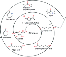 Graphical abstract: A sustainable synthetic route for biobased 6-hydroxyhexanoic acid, adipic acid and ε-caprolactone by integrating bio- and chemical catalysis