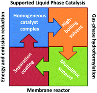 Graphical abstract: Continuous gas-phase hydroformylation of but-1-ene in a membrane reactor by supported liquid-phase (SLP) catalysis