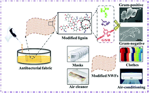 Graphical abstract: Amino acid-functionalized polyampholytes as natural broad-spectrum antimicrobial agents for high-efficient personal protection