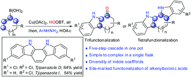 Graphical abstract: Copper-catalyzed tri- or tetrafunctionalization of alkenylboronic acids to prepare tetrahydrocarbazol-1-ones and indolo[2,3-a]carbazoles