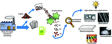 Graphical abstract: Fractionation of industrial lignins: opportunities and challenges