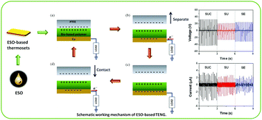 Graphical abstract: Fully bio-based epoxidized soybean oil thermosets for high performance triboelectric nanogenerators