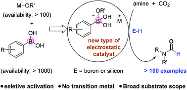Graphical abstract: Tetracoordinate borates as catalysts for reductive formylation of amines with carbon dioxide