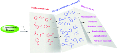 Graphical abstract: Sustainable access to renewable N-containing chemicals from reductive amination of biomass-derived platform compounds