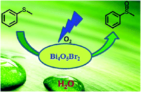 Graphical abstract: Selective aerobic oxidation of sulfides to sulfoxides in water under blue light irradiation over Bi4O5Br2
