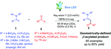Graphical abstract: Regio- and stereoselective C(sp2)–H acylation of enamides with aldehydes via transition-metal-free photoredox catalysis