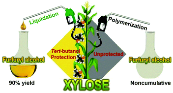 Graphical abstract: tert-Butanol intervention enables chemoselective conversion of xylose to furfuryl alcohol over heteropolyacids