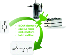 Graphical abstract: Sustainable electroorganic synthesis of lignin-derived dicarboxylic acids