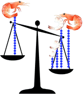 Graphical abstract: Farmed Jumbo shrimp molts: an ionic liquid strategy to increase chitin yield per animal while controlling molecular weight