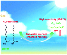 Graphical abstract: Gas–water interface engineered exceptional photoconversion of fatty acids to olefins