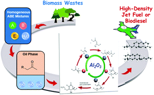 Graphical abstract: Are fermentation products promising feedstock for high-density bio-fuel? domino reactions for upgrading aqueous acetone–butanol–ethanol mixtures