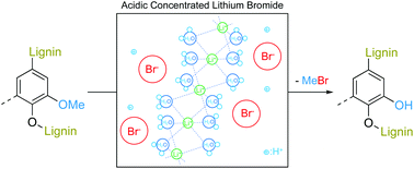 Graphical abstract: Cleavage of ethers and demethylation of lignin in acidic concentrated lithium bromide (ACLB) solution