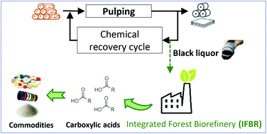 Graphical abstract: Green is the new black – a review of technologies for carboxylic acid recovery from black liquor