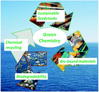 Graphical abstract: Green chemistry and the plastic pollution challenge: towards a circular economy
