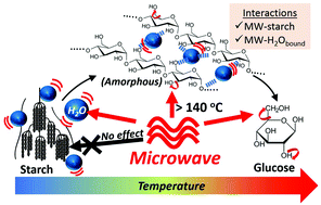 Graphical abstract: Evidences of starch–microwave interactions under hydrolytic and pyrolytic conditions