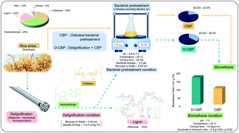 Graphical abstract: Profitable biomethane production from delignified rice straw biomass: the effect of lignin, energy and economic analysis