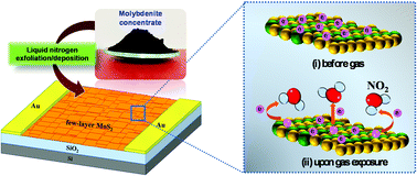 Graphical abstract: Efficient NO2 sensing performance of a low-cost nanostructured sensor derived from molybdenite concentrate