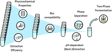 Graphical abstract: Selection of a recyclable in situ liquid–liquid extraction solvent for foam-free synthesis of rhamnolipids in a two-phase fermentation