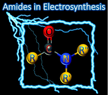 Graphical abstract: The preparation and applications of amides using electrosynthesis