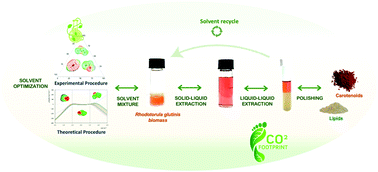 Graphical abstract: Integrative platform for the selective recovery of intracellular carotenoids and lipids from Rhodotorula glutinis CCT-2186 yeast using mixtures of bio-based solvents