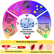 Graphical abstract: Biomolecule-assisted synthesis of biomimetic nanocomposite hydrogel for hemostatic and wound healing applications