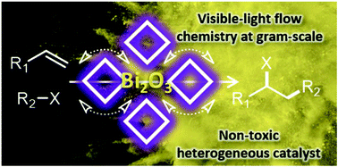 Graphical abstract: Continuous flow processing of bismuth-photocatalyzed atom transfer radical addition reactions using an oscillatory flow reactor