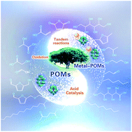 Graphical abstract: Biomass valorisation over polyoxometalate-based catalysts