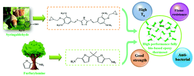 Graphical abstract: A high performance fully bio-based epoxy thermoset from a syringaldehyde-derived epoxy monomer cured by furan-derived amine