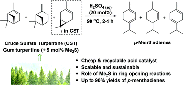Graphical abstract: Dimethyl sulfide facilitates acid catalysed ring opening of the bicyclic monoterpenes in crude sulfate turpentine to afford p-menthadienes in good yield