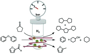 Graphical abstract: Hydrodeoxygenation and hydrogenolysis of biomass-based materials using FeNi catalysts and magnetic induction