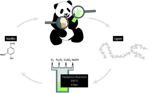 Graphical abstract: Life cycle thinking case study for catalytic wet air oxidation of lignin in bamboo biomass for vanillin production