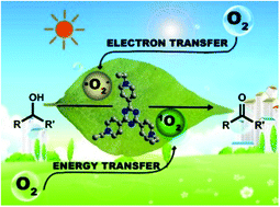 Graphical abstract: Boosting activity of molecular oxygen by pyridinium-based photocatalysts for metal-free alcohol oxidation