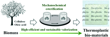 Graphical abstract: Mechanochemical preparation of thermoplastic cellulose oleate by ball milling